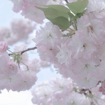 点军FurryQQ群介绍